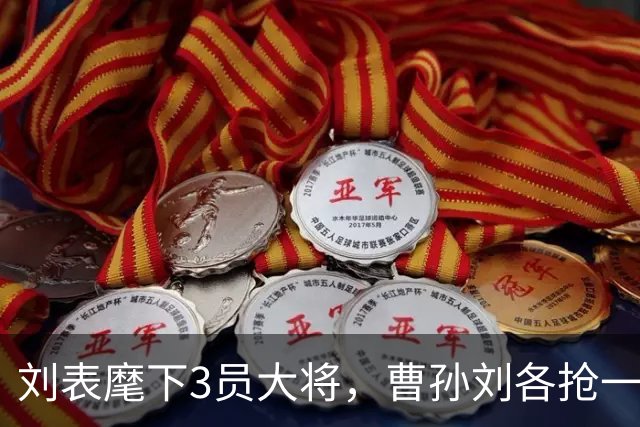 刘表麾下3员大将，曹孙刘各抢一个，刘抢得最猛，孔明也十分忌惮！