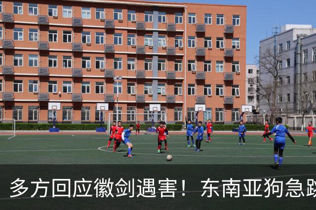 多方回应徽剑遇害！东南亚狗急跳墙，拿2000万悬赏，追杀中国博主