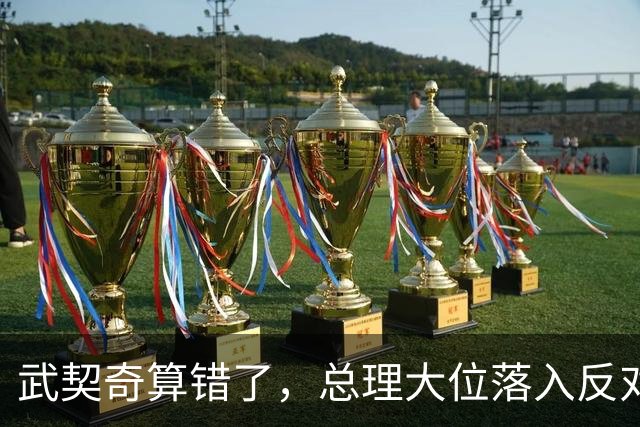 武契奇算错了，总理大位落入反对派手中，中塞大项目还能稳住吗？
