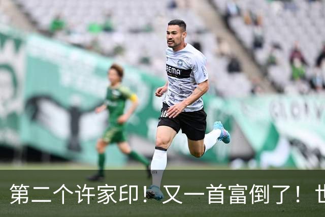 第二个许家印！又一首富倒了！世界500强也没那么强